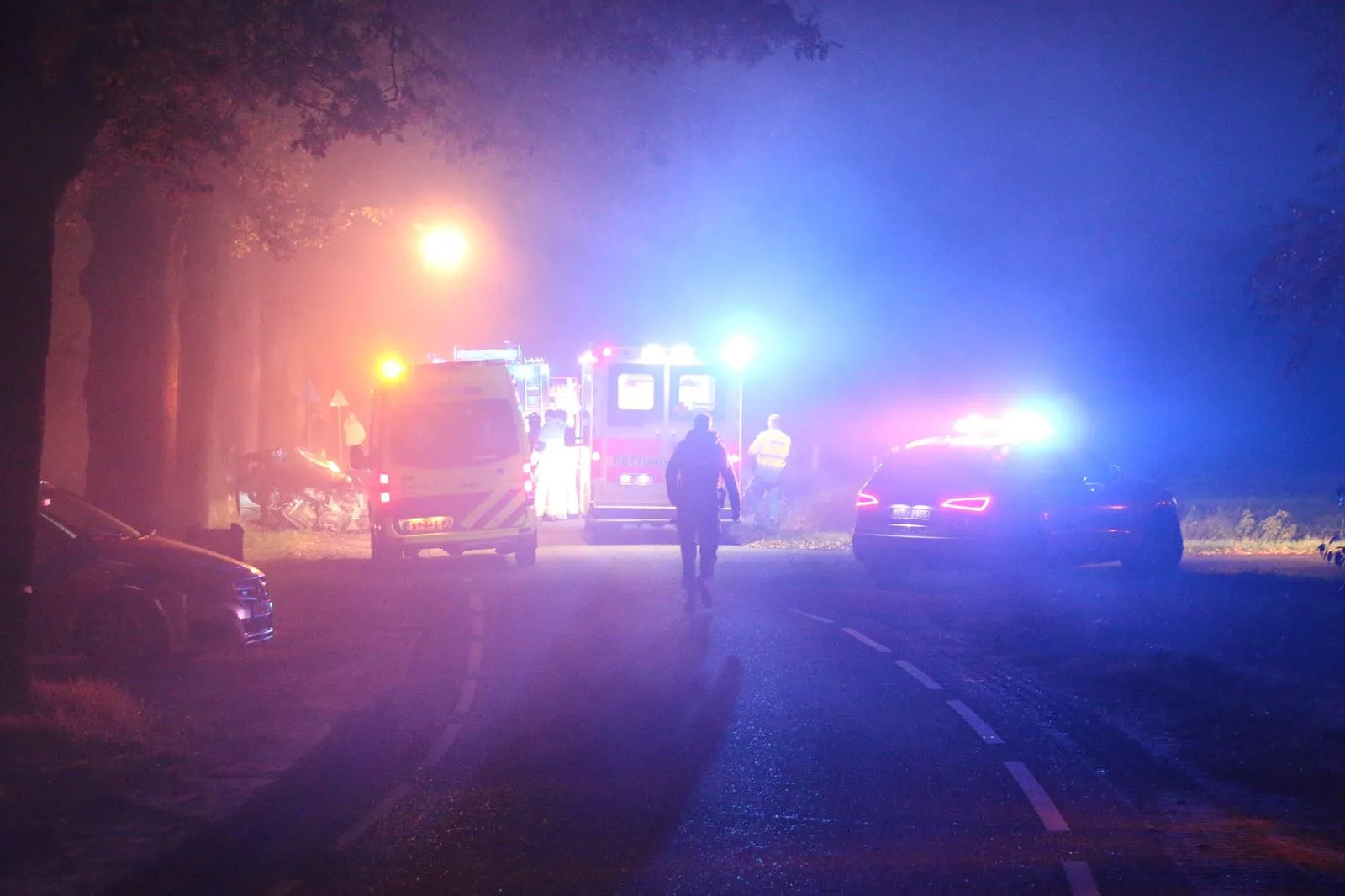 whatsapp image 2019 11 24 at 222556