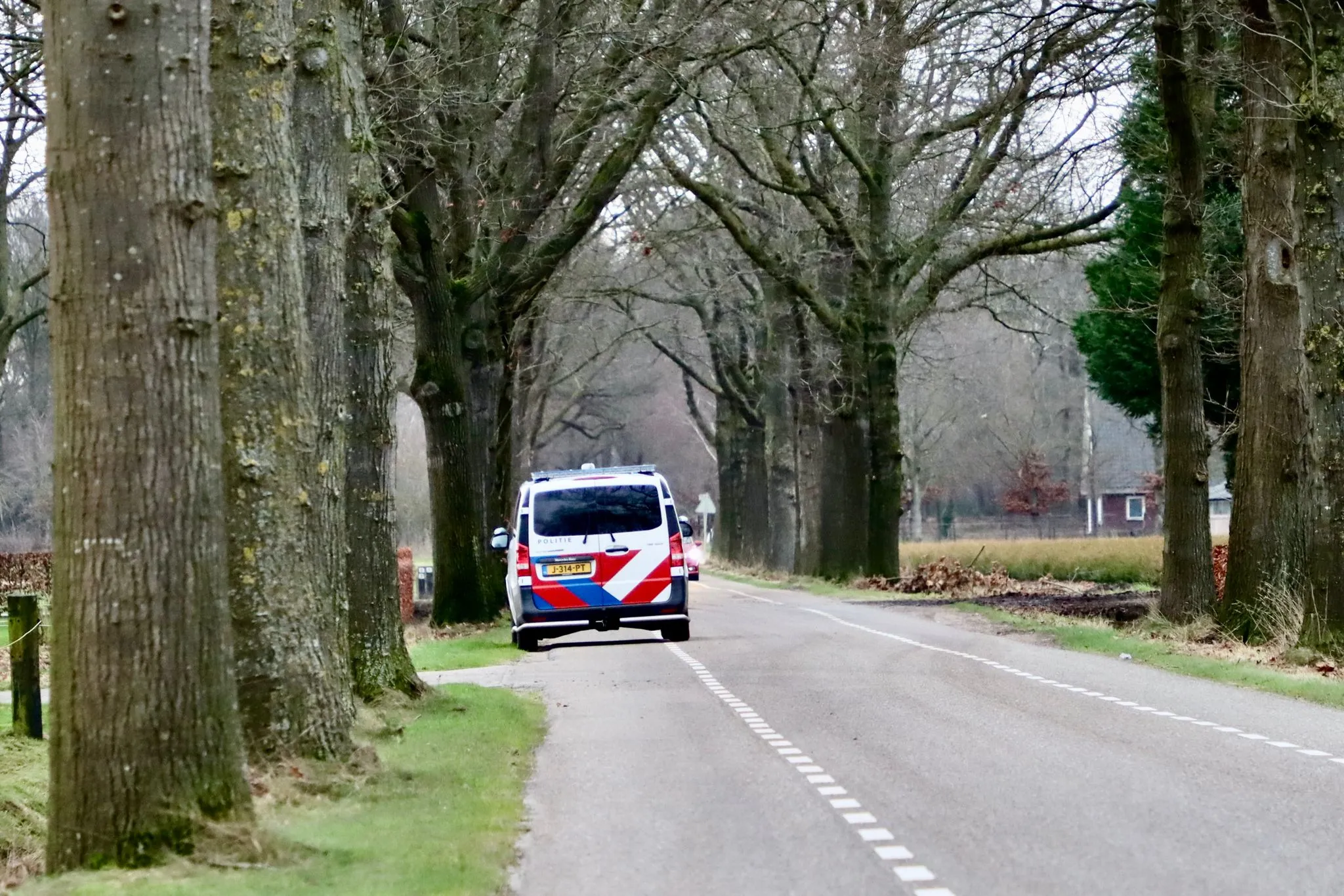 whatsapp image 2021 12 31 at 163307