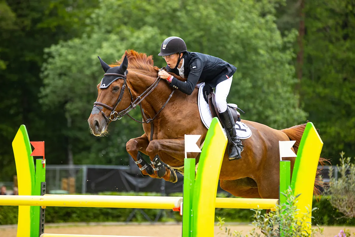 wilton porter diamonte darco gp2 digi