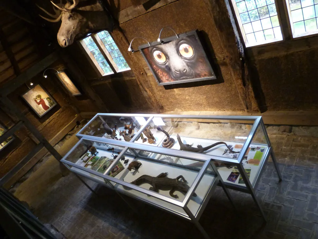 wonderryck twente in zoo nordhorn