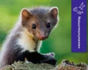 a3hrkr0ren5u4ewq5clpystaj 220902