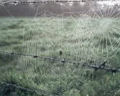 a3km3g8a8khj1c2prjg98y9eb 233494