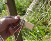 a621w6xn1nkb19w655ia76qnl 183527