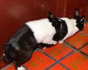 ae8j81xmmirzss2mso1iohyav 210873