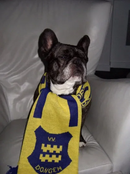 ao7mx3qtqr8nyhb1263etkzo2 15685