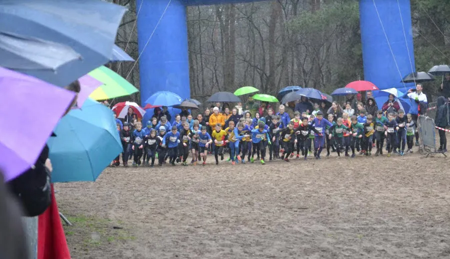 atledo030201