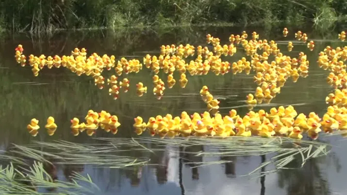 badeendjes1