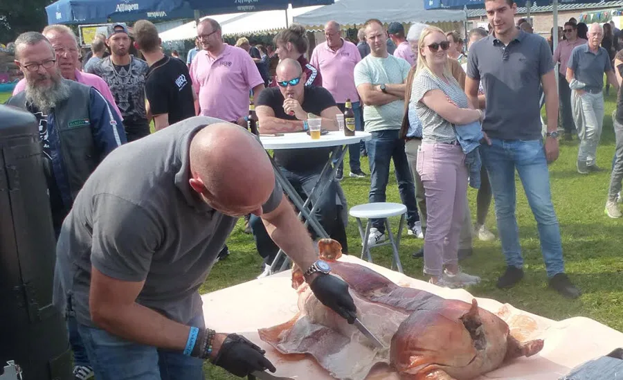 bbq231