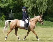 bdl8zypfcf324l0ckjprtopyg 17797