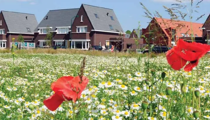 beljaartbouwkavel