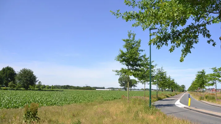 beljaartlaan1