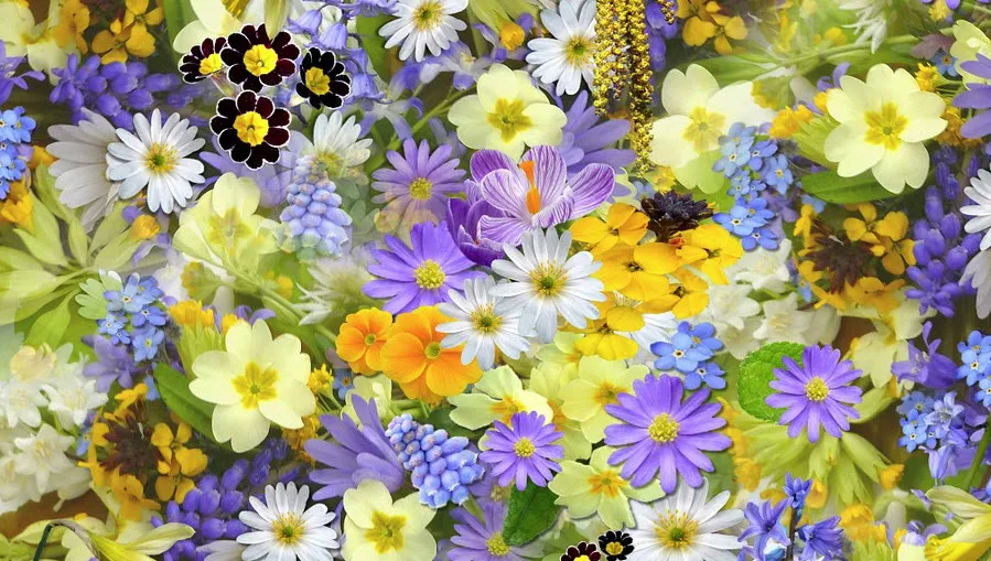 bloemen
