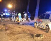 bntw4u9ptd5nf68mu9qbudl9w 216542