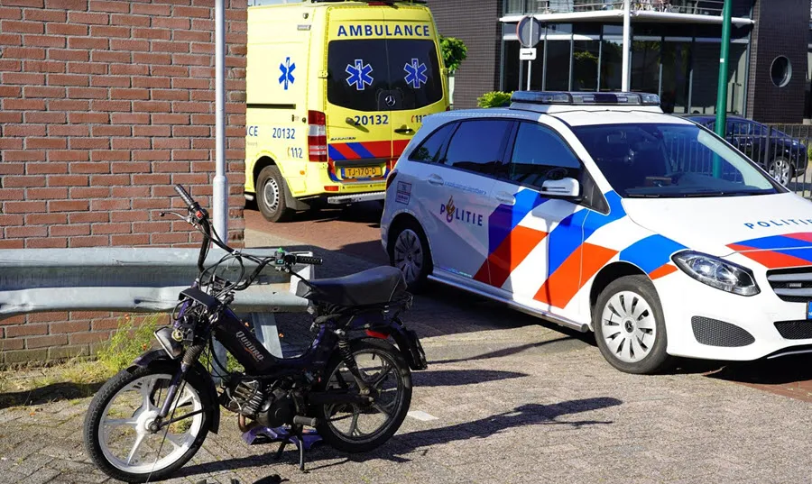 brommer1