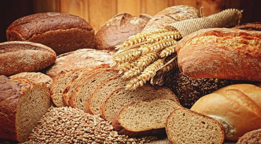 brood