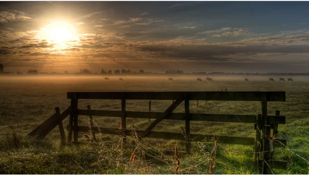 c654ezza7wxc2k5lkzif135q2 zon 2