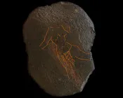 cbrgcvr10miy1wh7ogc9vpqac 30631