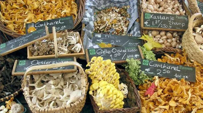 clc0cs4v8uar2fc4wf4k3w57n duurzaam