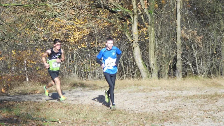 cross2411