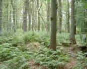 d4omiyyuya7i75m5gyhdvwvs1 125414