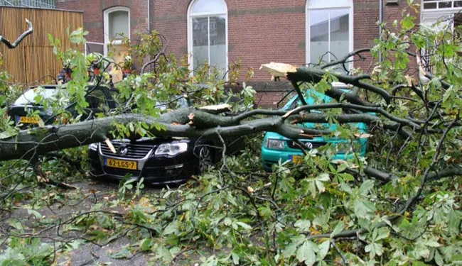 dahfg904i8vg71j3deon7lev3 storm12