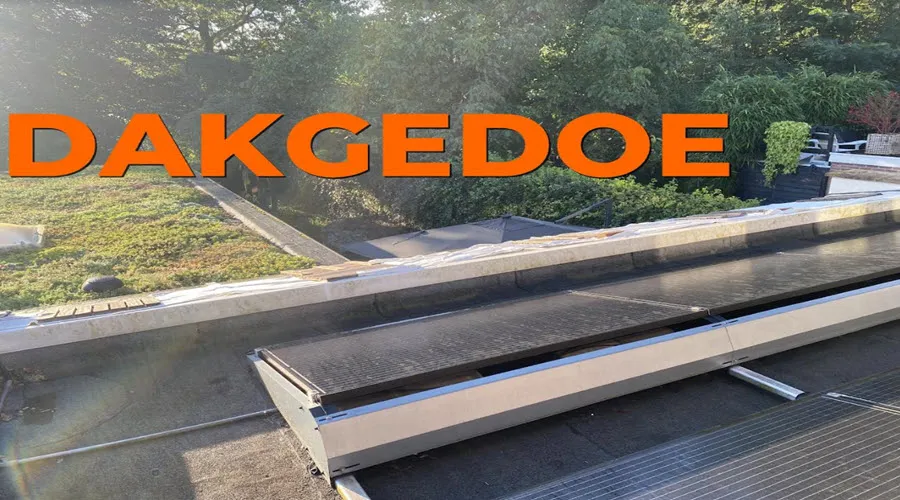 dakgedoe