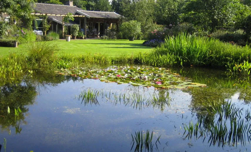 dlcoa0ymczblkpiusuhase9m1 vaartsehof 2