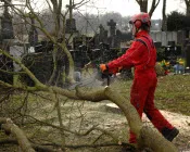 dnx3b3s6w59krijjfegxuigmn 218864