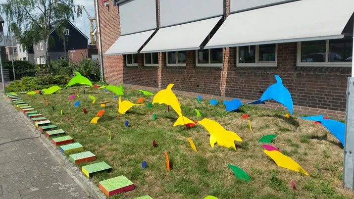 dolfijnen