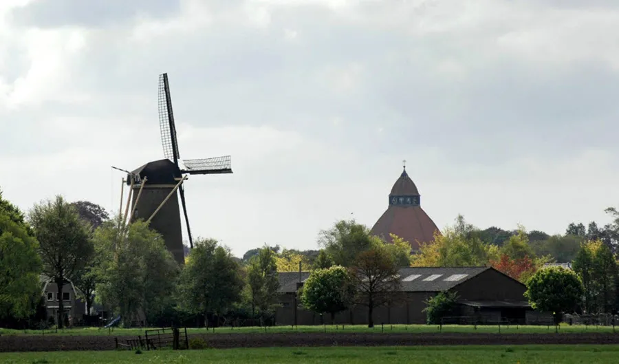 dongen20