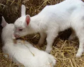 drc78i2bxjoospfz92ekkh6rs 62412