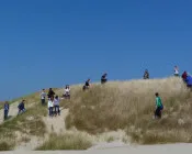 ey24qcpcbxa10aihg8kpyfe8u 61686