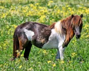 g748uvy60l29jcg0bs2e814wt 17800