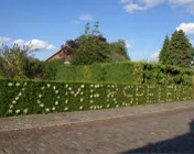 ga153j4kldoq3um2jv50gwmkr 21991