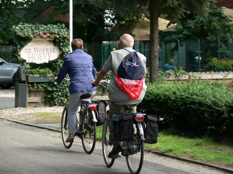 gqcrd5tpb1uls9itjukp81rsw knapzak3