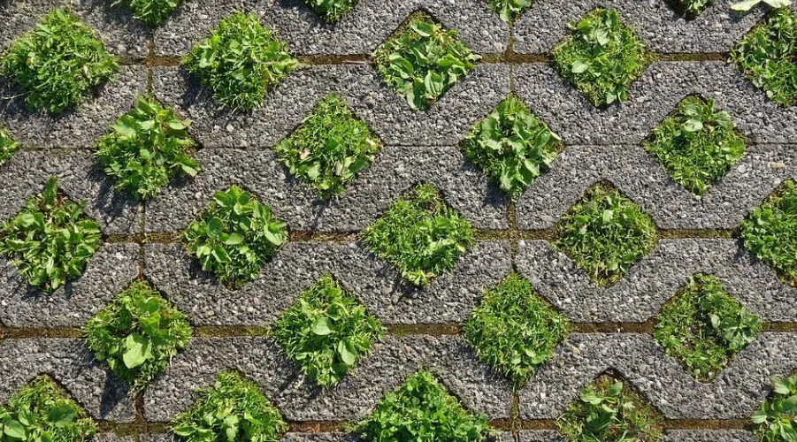 grasbeton