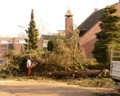 gsghiz82ihntlqxwnqn4d9gdj 129069