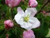 gx91nwswr6vbw5xsnd6avktnl 58086