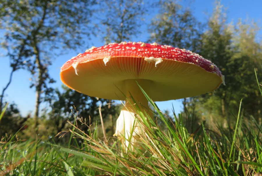 herfst12