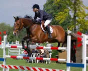 hnbqgusn3l9l1dwh8tuioshj2 16382