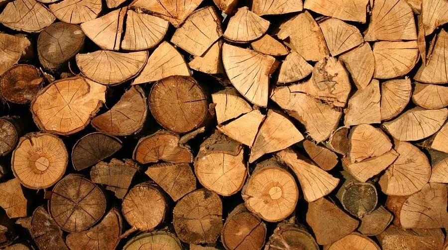 hout
