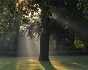 iez6qulc9p85dp9r6tmzn3ruv 172745