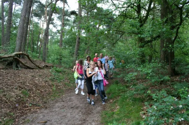 ig5jc1m1vd3gnr9qr7m0wpru6 136010