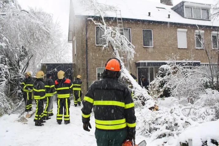 image 3 e1419684610253