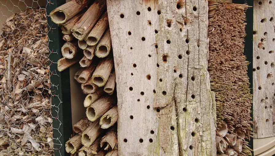 insectenhotel