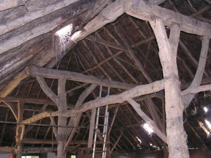 iovtsjch50lb0uj6e2pburiut 28008