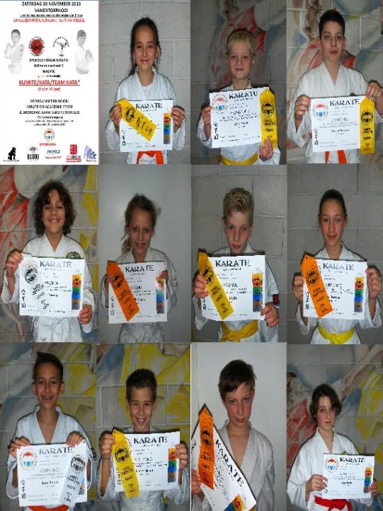 iq52wyplyb0bb4an9g17sluyb karate0412