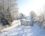 jfyw4s25cus4wnnnj0zo69g5c 116321