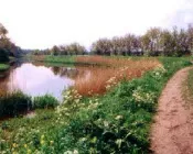 ji8nq4tugubiwqn1hkp08fype 176327