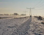 k2rjs0pogvna89yzfz2nqdldf 203155